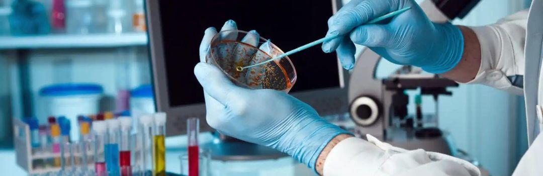 Today in “The strange world of Biotechnology”: The price of ignorance