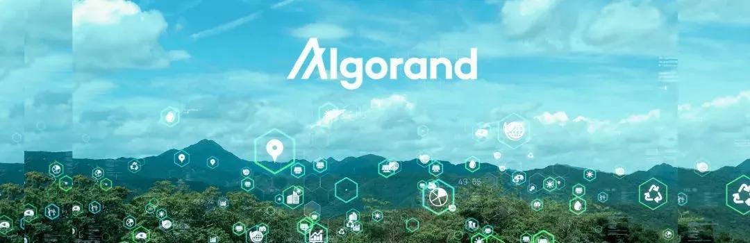 Maximiliano Ríos: El Embajador de Algorand en Argentina Impulsa la Sostenibilidad a través de la Blockchain